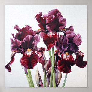 Maroon Irissen Bloemenkunst Print Poster