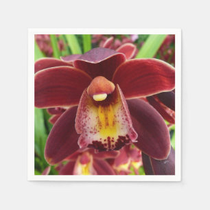 Maroon Orchids I Beauful Red Floral Servetten