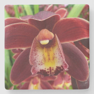 Maroon Orchids I Beauful Red Floral Stenen Onderzetter