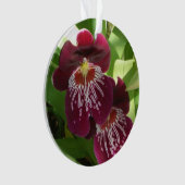 Maroon Orchids II (devant)