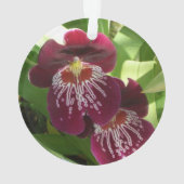 Maroon Orchids II (dos)