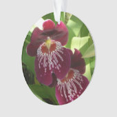 Maroon Orchids II (devant)