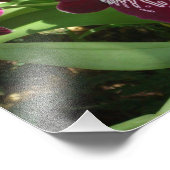 Maroon Orchids II Elegant Floral Foto Afdruk (Hoek)