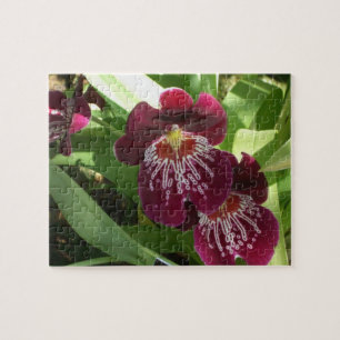Maroon Orchids II Elegant Floral Legpuzzel
