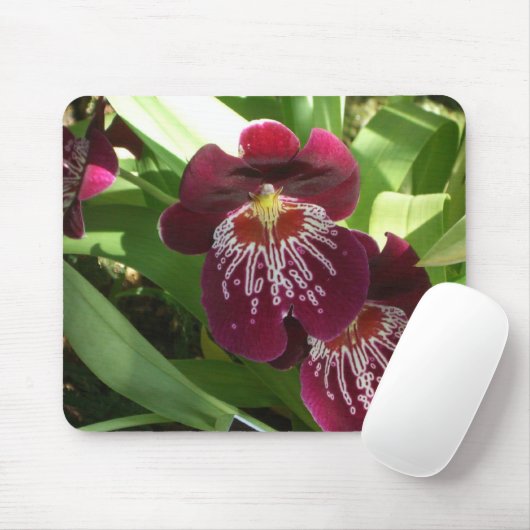 Maroon Orchids II Elegant Floral Muismat (Met muis)