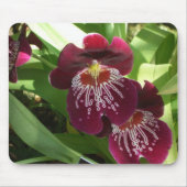 Maroon Orchids II Elegant Floral Muismat (Voorkant)