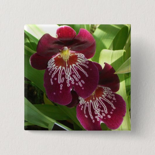 Maroon Orchids II Elegant Floral Vierkante Button 5,1 Cm (Voorkant)
