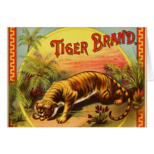 Marque Tiger 1900