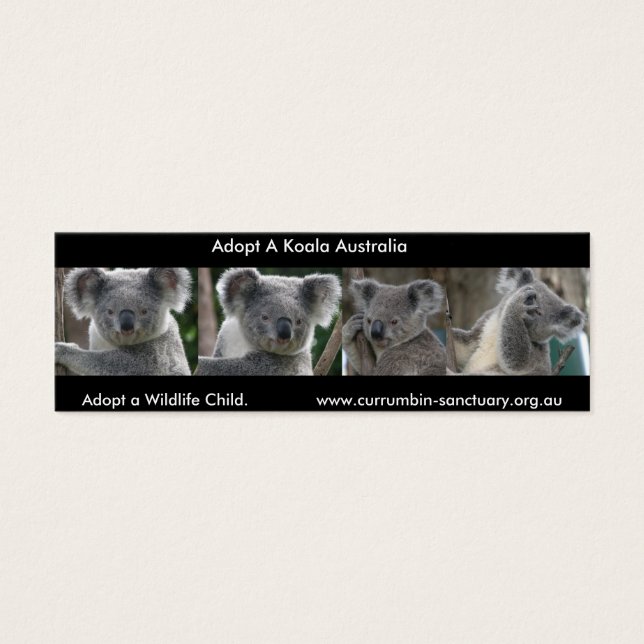 Marquer Koalas Adoptent un Enfant de la Faune Aust (Devant)
