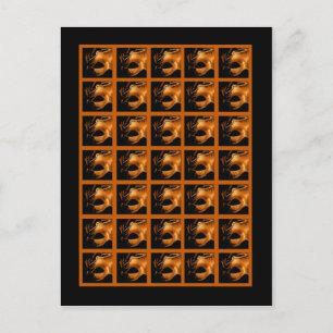 Marqueurs de cartes de Bingo Sweet 16 orange noir