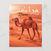 Marrakech Marokko  kameel Reissouvenirs Briefkaart (Voorkant)