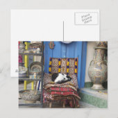 Marrakesh Cat Briefkaart (Voorkant / Achterkant)