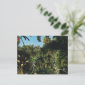 Marrakesh, Majorelle Gardens, Morocco Briefkaart (Staand voorkant)