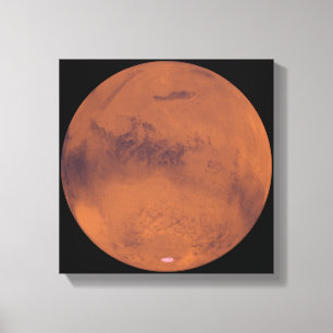 Mars 4 canvas afdruk