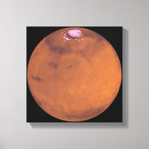 Mars 5 canvas afdruk