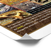 Mar's Boneyard Poster (Hoek)