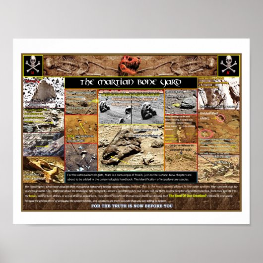 Mar's Boneyard Poster (Voorkant)