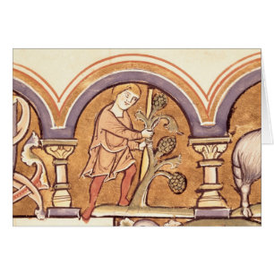 Mars : Greffe des arbres