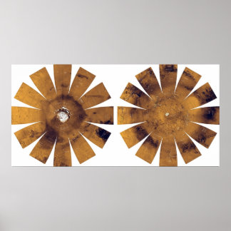 Mars - Hemisferische Kaart Poster