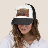 Mars Rover Trucker Pet (In situ)