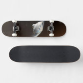 Mars Science Laboratory Aeroshell Capsule 2 Skateboard (Horizontaal)