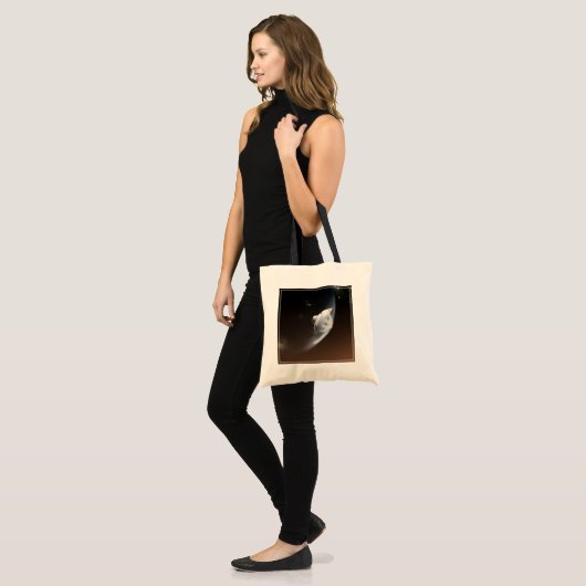 Mars Science Laboratory Aeroshell Capsule 2 Tote Bag (Voorkant (model))
