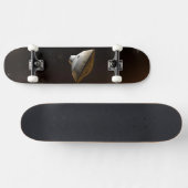 Mars Science Laboratory Aeroshell Capsule Skateboard (Horizontaal)