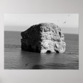 Marsden Rock Poster (Voorkant)
