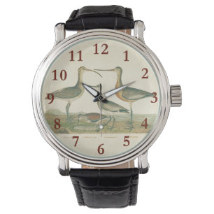 Marsh Bird Curlew Snipe Birding Horloge