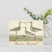 Marsh Bird Curlew Snipe Birding Kaart (Staand voorkant)