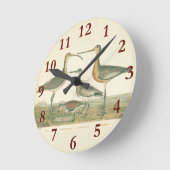 Marsh Bird Curlew Snipe Birding Ronde Klok (Hoek)