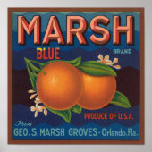 Marsh Brand | citrusetiket Poster (Voorkant)