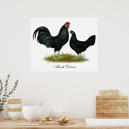 Marsh Daisy Chickens Poster (Keuken)