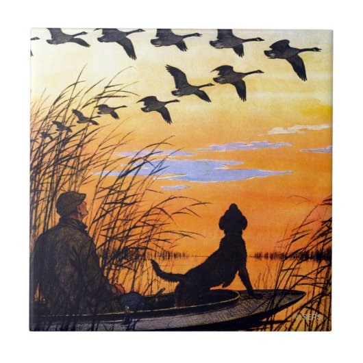 Marsh door Paul Bransom Tegeltje (Voorkant)