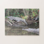 Marsh Gators - American Alligator Jigzaag Puzzle Legpuzzel (Horizontaal)