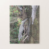 Marsh Gators - American Alligator Jigzaag Puzzle Legpuzzel (Verticaal)