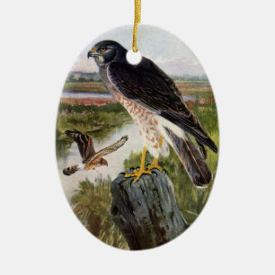 Marsh Hawk Keramisch Ornament