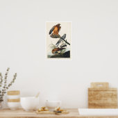 Marsh Hawk par Audubon Poster (Cuisine)