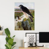Marsh Hawk Poster (Thuiskantoor)