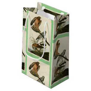 Marsh Hawk uit Audubon's Birds of America Klein Cadeauzakje