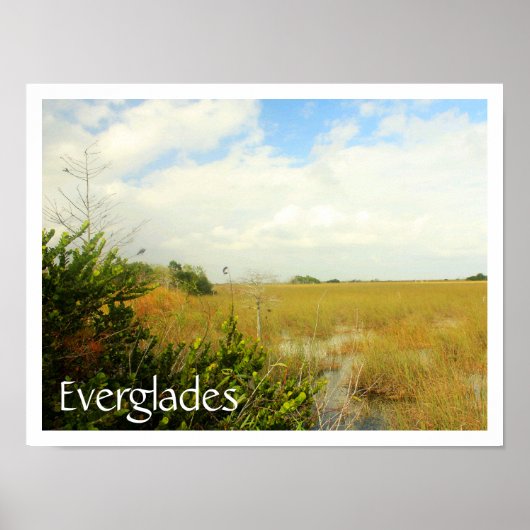Marsh in Everglades National Park, Florida Poster (Voorkant)
