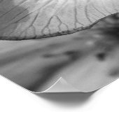 Marsh Marigolds Poster (Hoek)