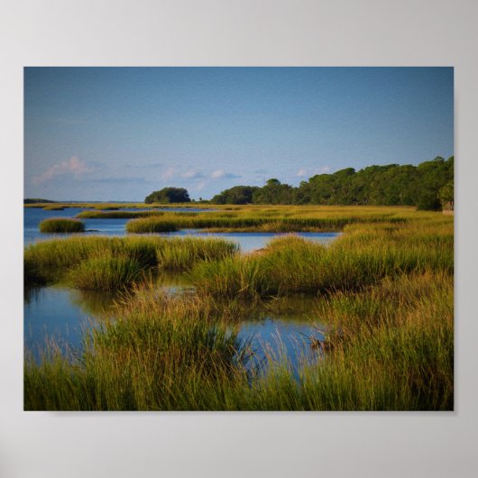 Marsh Poster (Voorkant)