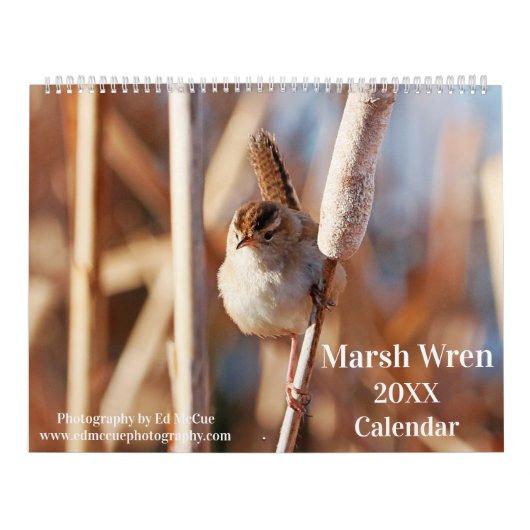 Marsh Wren Kalender (Hoes)