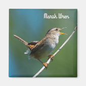 Marsh Wren Magneet (Voorkant)