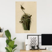 Marsh Wren Poster (Thuiskantoor)