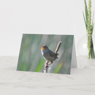 Marsh Wren Singing Loud - Frameable Art Card Kaart
