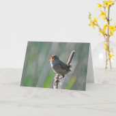 Marsh Wren Singing Loud - Frameable Art Kaart (Gele Bloem)