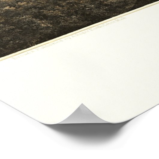 Marshall, MI Panorama Map - 1868 Poster (Hoek)