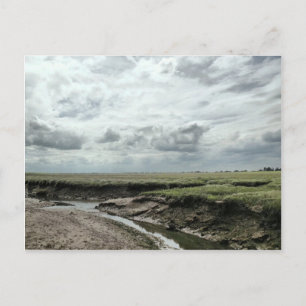 Marshland Briefkaart